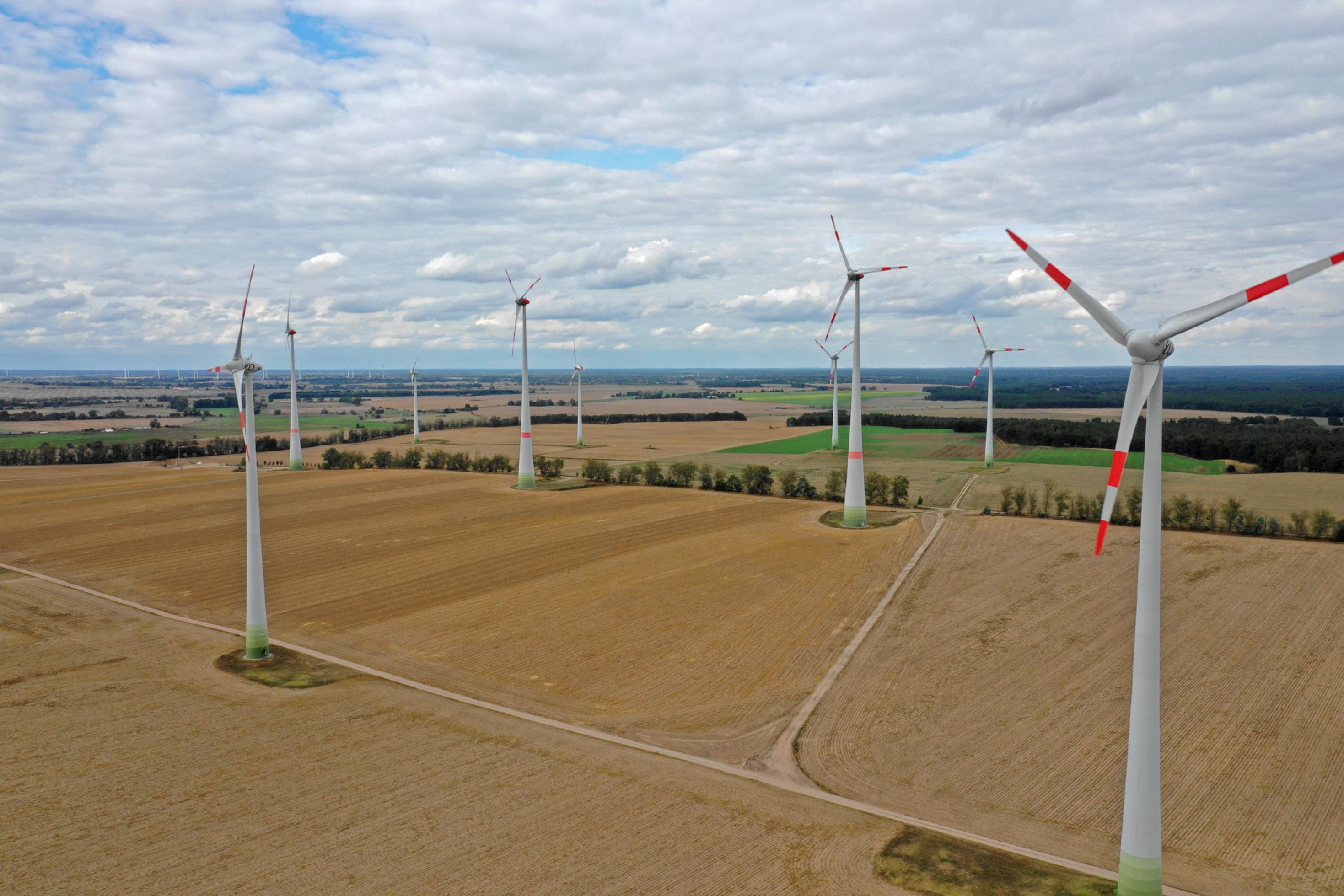 Ein Windpark in der Agrarlandschaft.