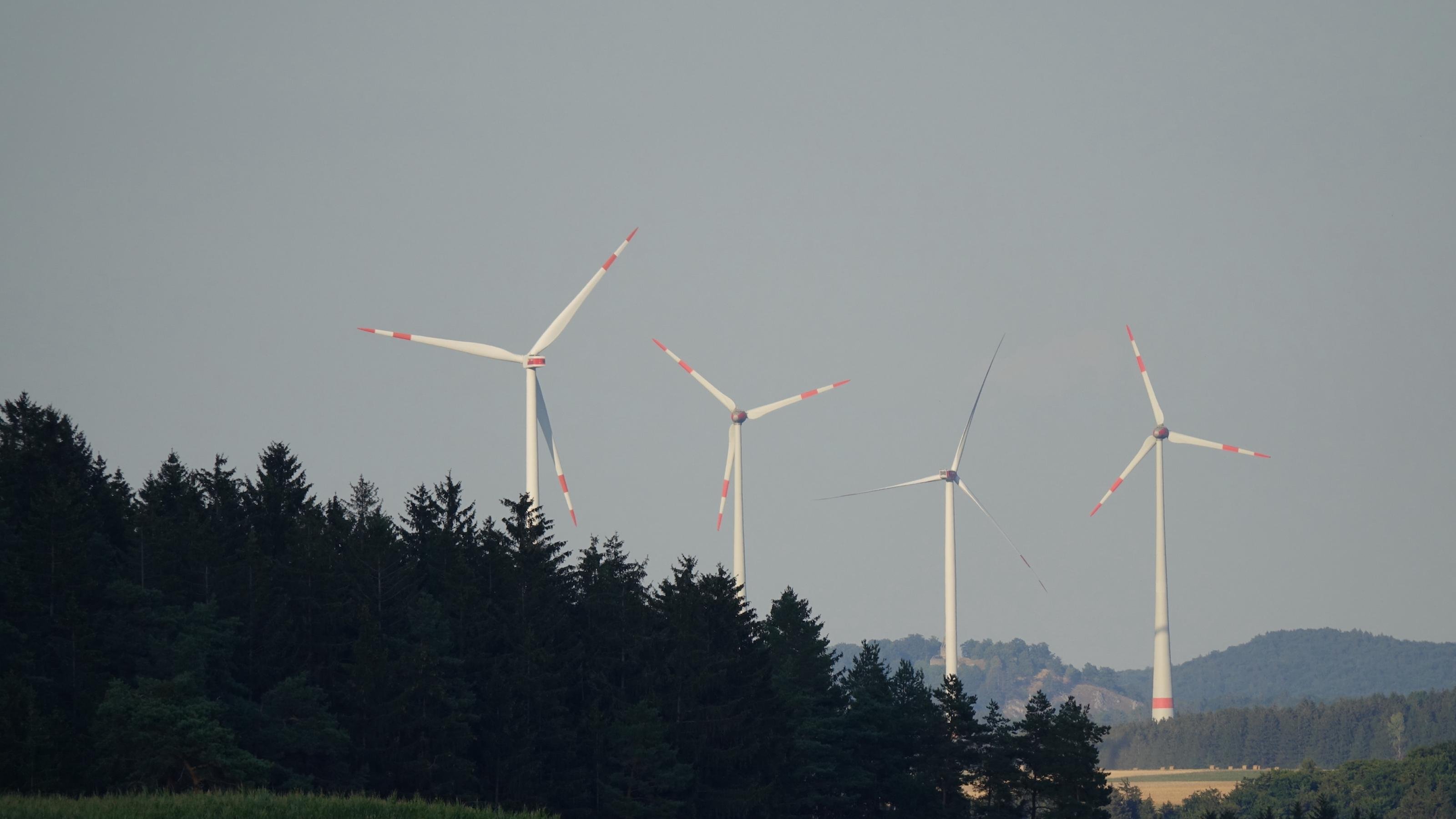 Vier Windkraftwerke in einer weiten, von Wald geprägten Landschaft.