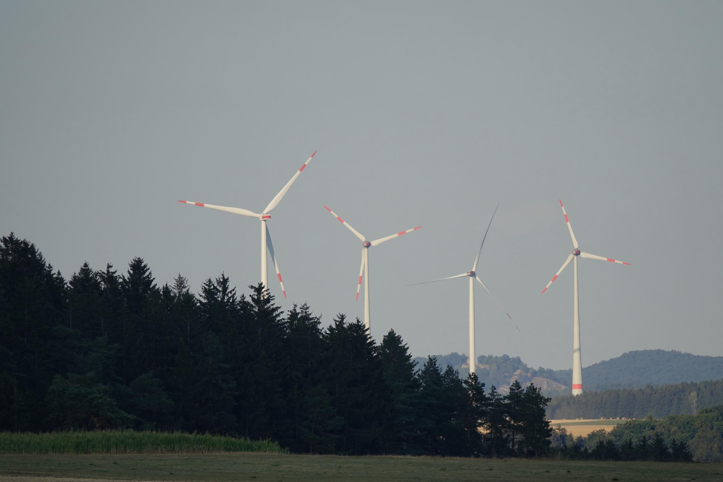 Vier Windkraftwerke in einer weiten, von Wald geprägten Landschaft.