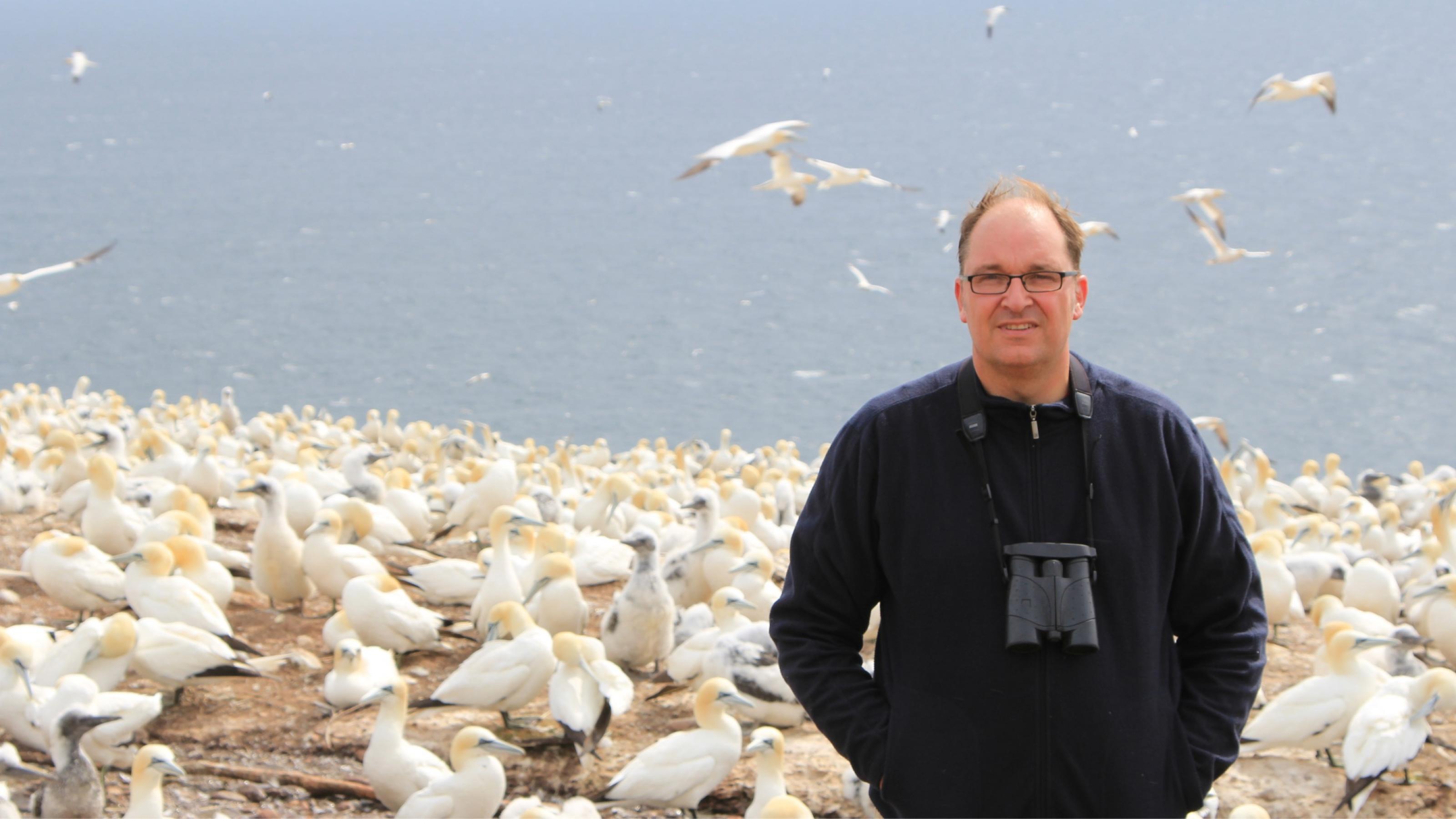 Garthe mit Fernglas in einer Kolonie von Basstölpeln am Meer.