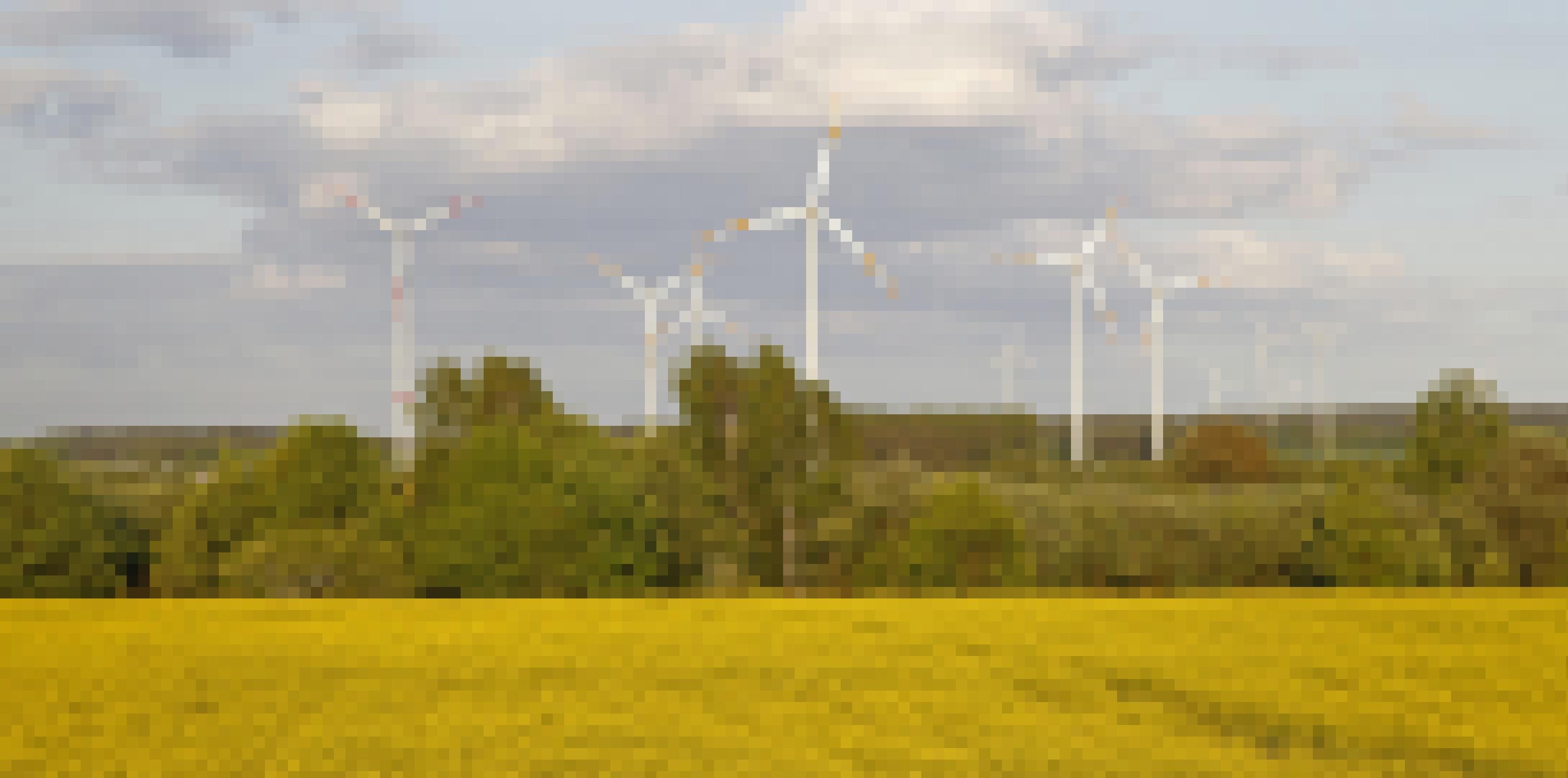Windräder und ein Rapsfeld im Vordergrund illustrieren den Verlust von Artenvielfalt durch eine industrielle Landwirtschaft.