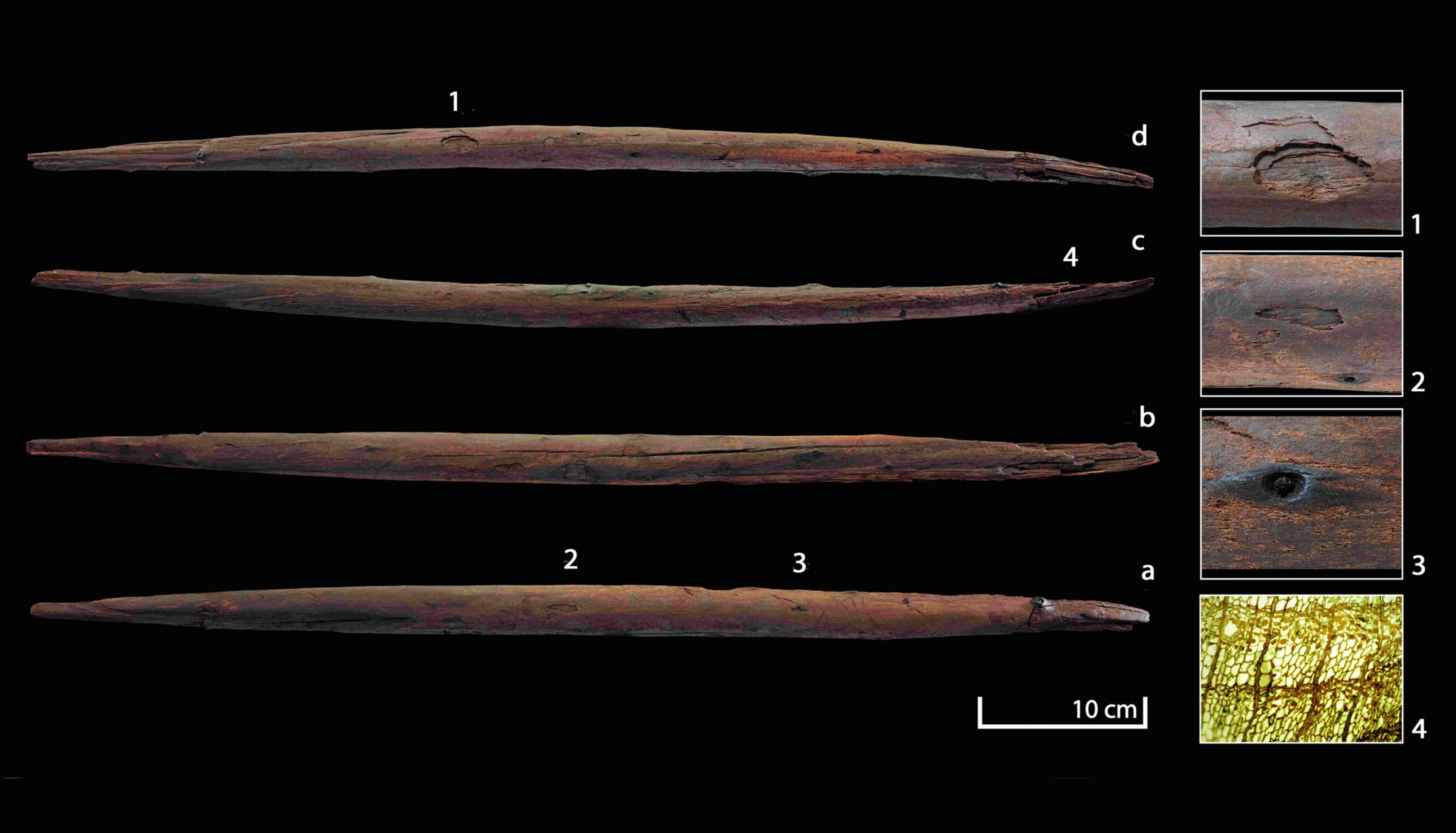 Auf dieser Zusammenstellung sind vor schwarzem Hintergrund vier waagerechte, übereinander liegende Ansichten des Schöninger Wurfstocks zu sehen. Der Stock ist 64,5 Zentimeter lang, in der Mitte 2,9 Zentimeter dick und an den Seiten zugespitzt. Einschlagspuren belegen, dass er tatsächlich für die Jagd benutzt wurde. Eingeklinkte Fotos auf der rechten Seite lassen herausgezoomte Details dieser Gebrauchsspuren erkennen.