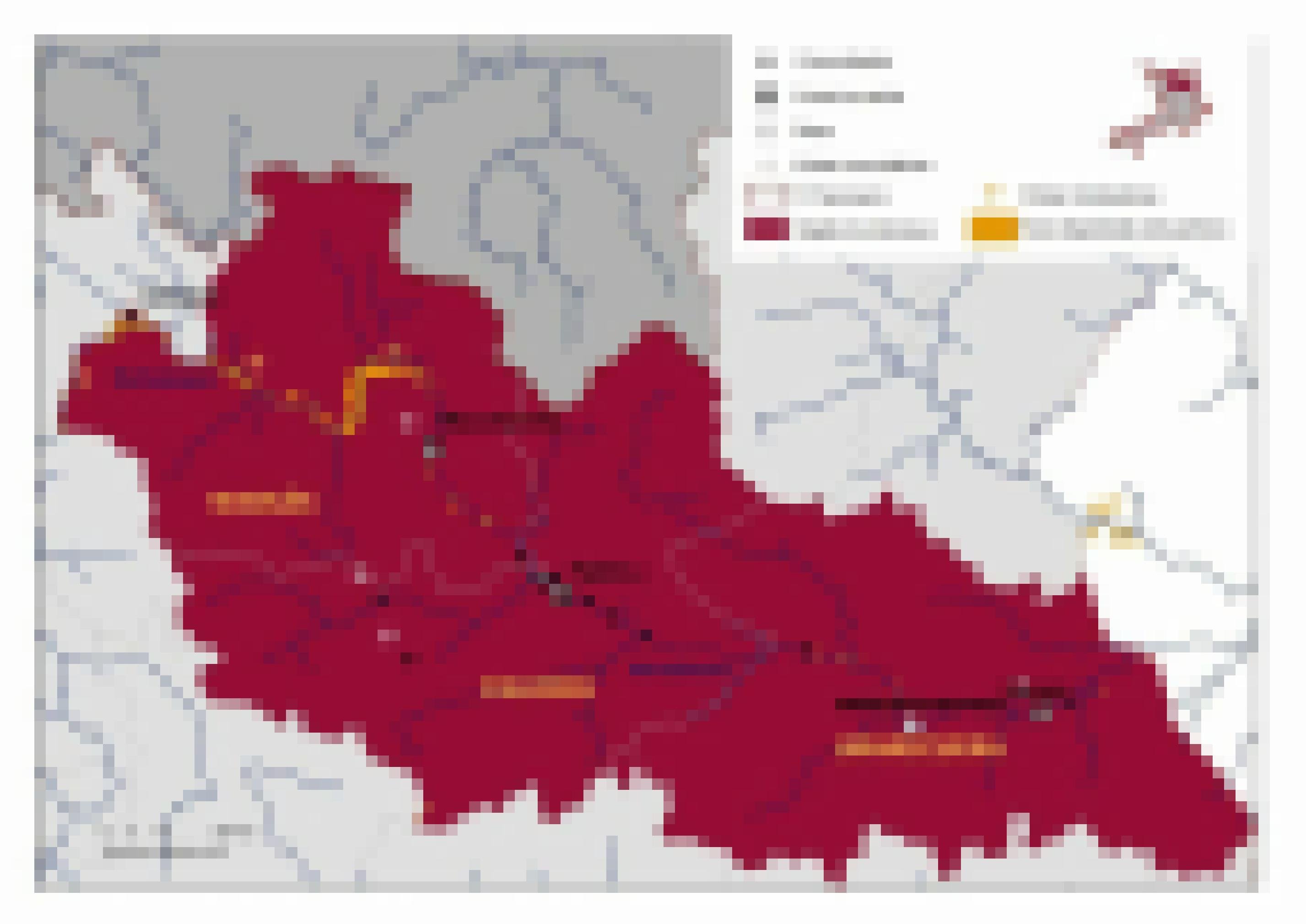 Auf der Landkarte sieht man die das Land der Yanomami und die Gemeinde Palimiú am Uraricuera-Fluss. Mit einem gelben Flugzeugsymbol sind die heimlichen Landepisten eingezeichnet.