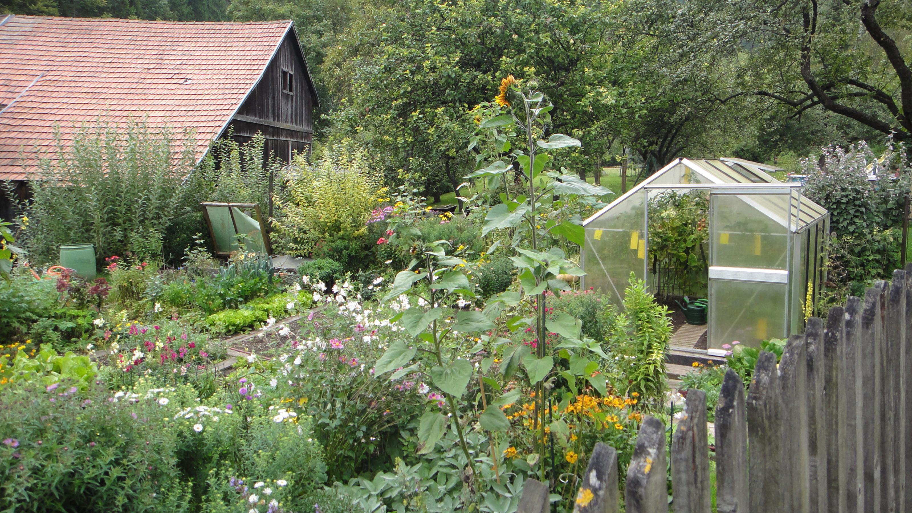 Ein bunter Bauerngarten mit Blumen, Gemüse, Glashaus, Lattenzaun und Holzstadel.
